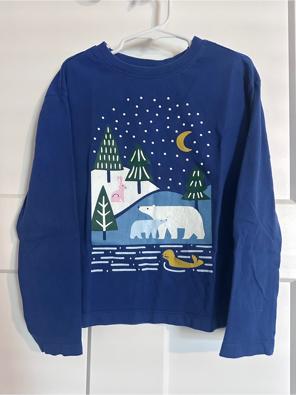 Hanna Andersson Long-Sleeve Polar Bear Graphic Tee